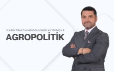 100%x280